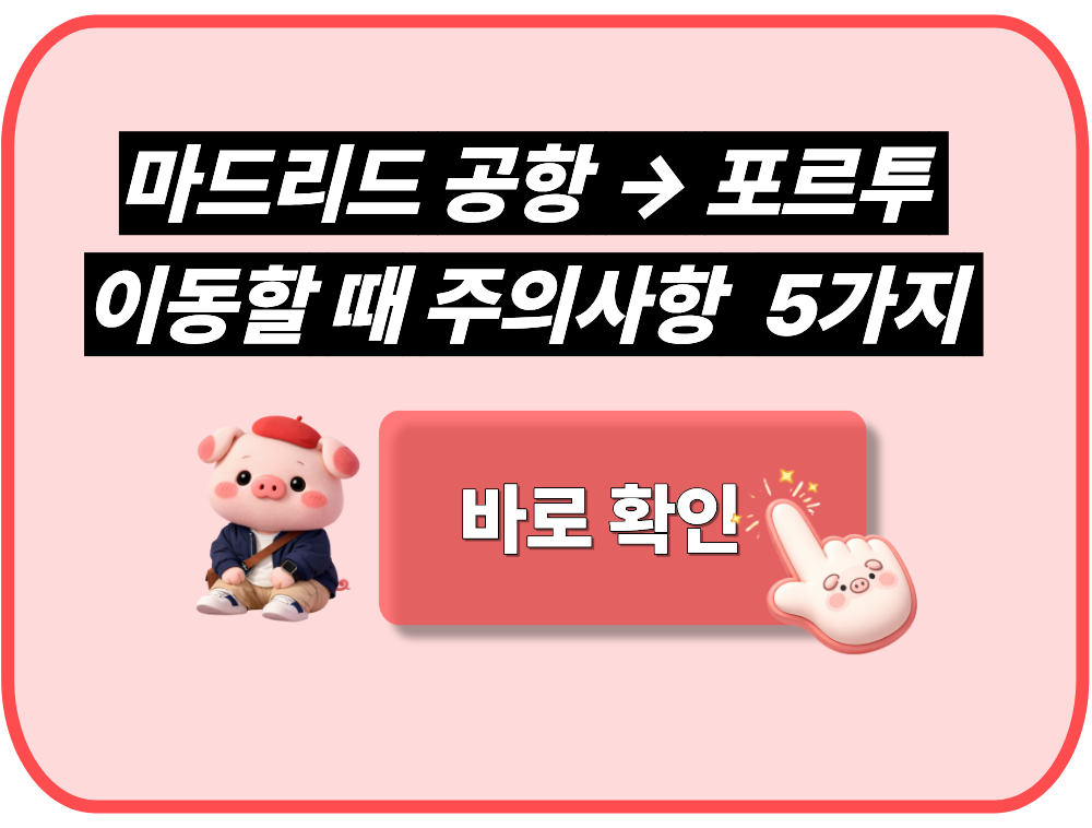 마드리드 공항에서 포르투 갈 때 주의사항 5가지
