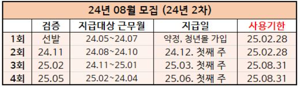 경기도 청년복지포인트 3차 사용처