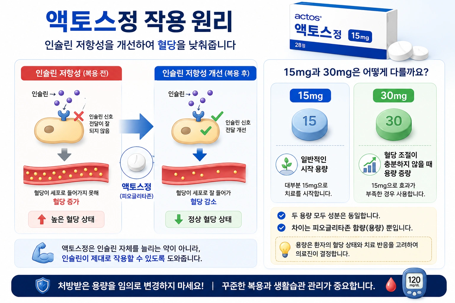 액토스정_본문2_작용원리