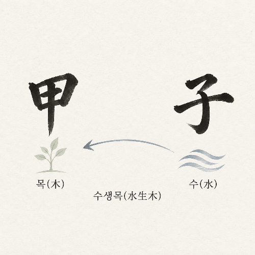 갑목과 자수의 수생목 관계