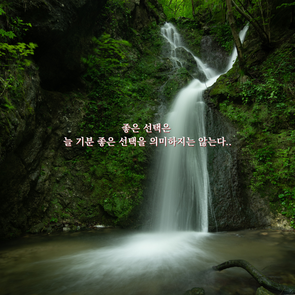 좋은 선택은 늘 기분 좋은 선택과 같지는 않다. - 감성 글귀 이미지