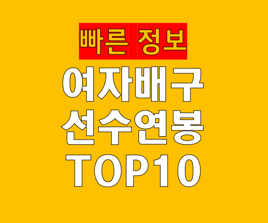 여자 프로배구 선수 연봉 정보 완벽 정리 2025-2026