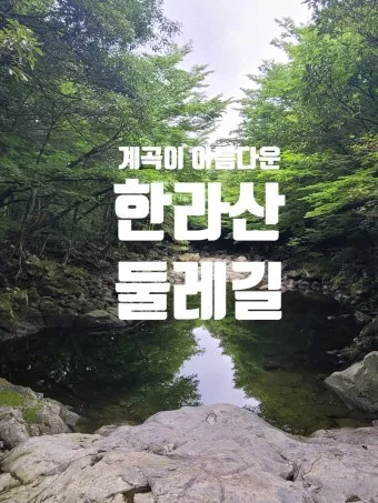 제주 한라산 둘레길 난이도 대중교통 날씨 팁_14