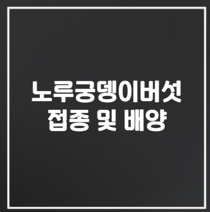 노루궁뎅이 버섯 종균 준비