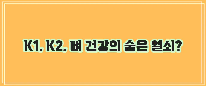 비타민K1 K2 효능과 함유식품 꼭 알아봐야겠죠?