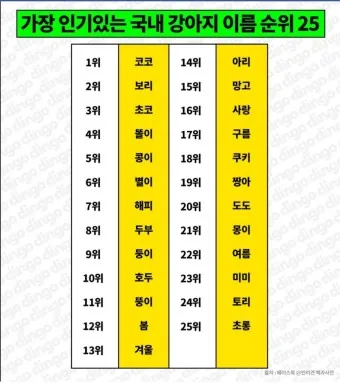 반려견 이름 작명 독특한 강아지 이름 제안_7