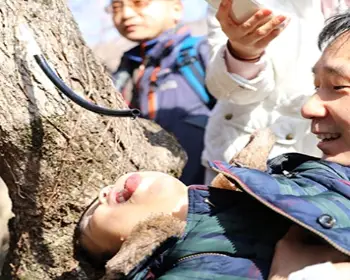 고로쇠 물 진안고원 운장산 고로쇠 축제_7
