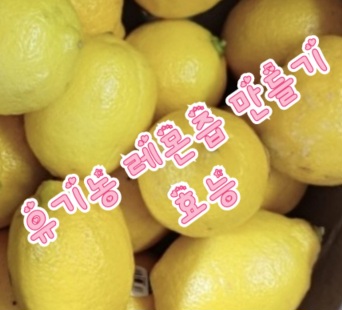 유기농-레몬즙-효능
