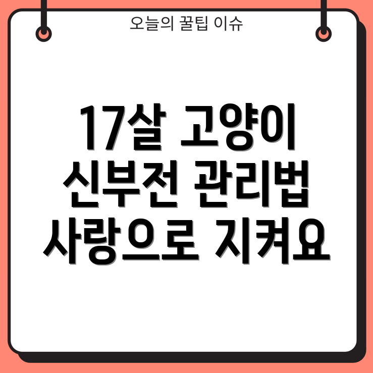 만성 신부전