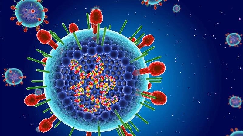 RSV 감염증 치료방법