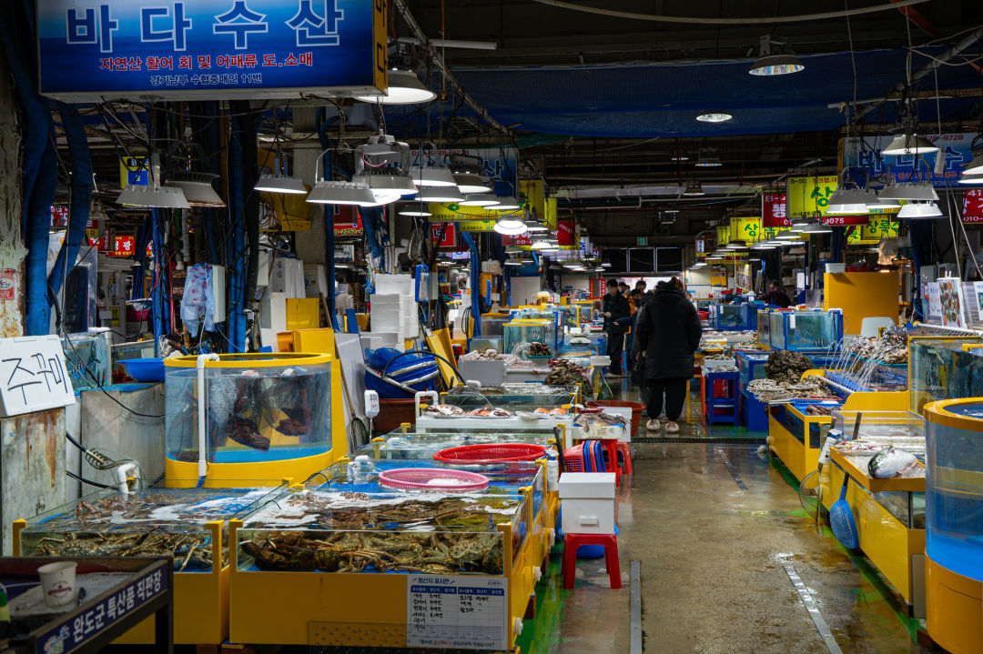 궁평항 수산물 직판장 내부
