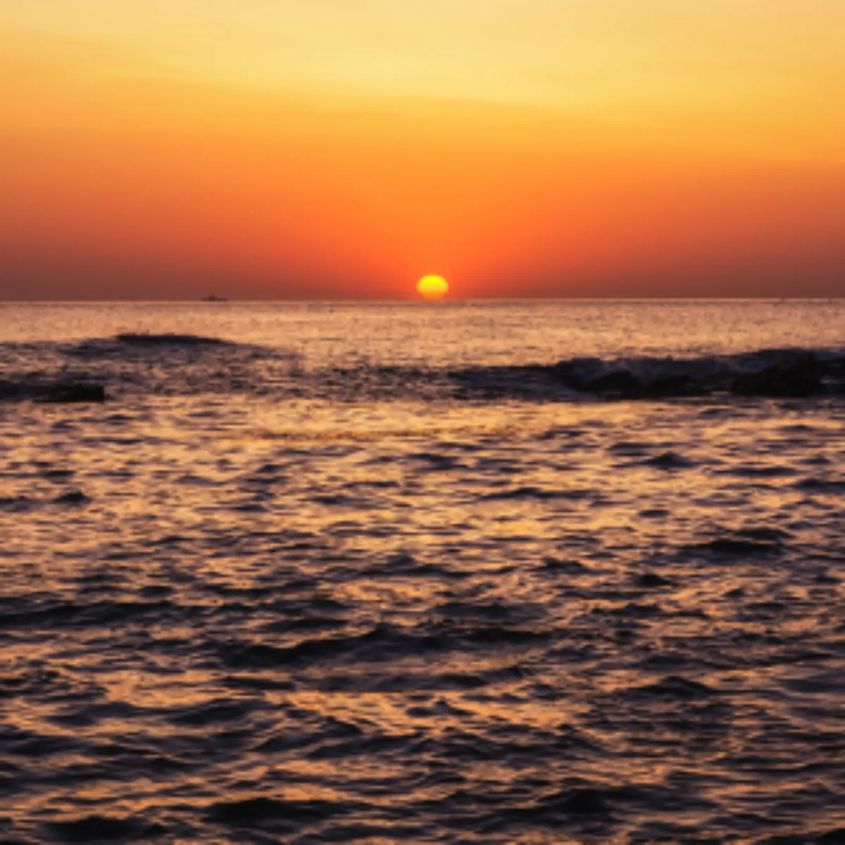 2025년 새해 일출 명소