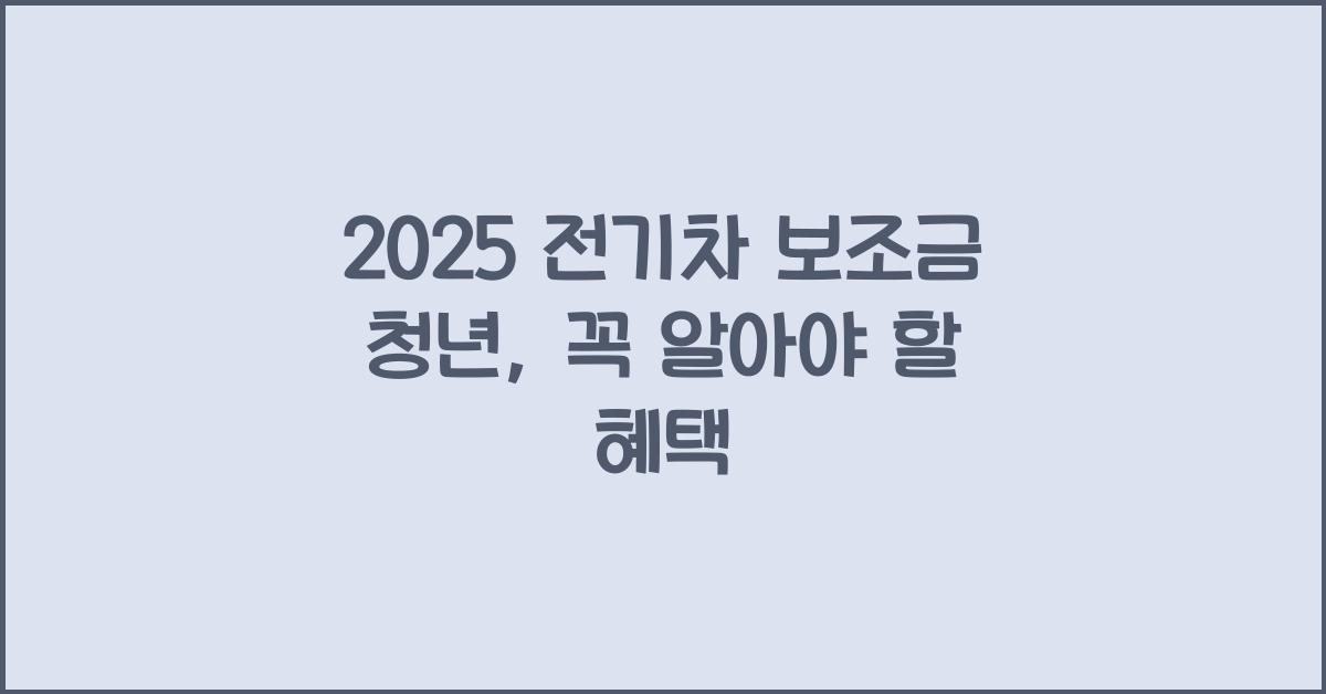 2025 전기차 보조금 청년