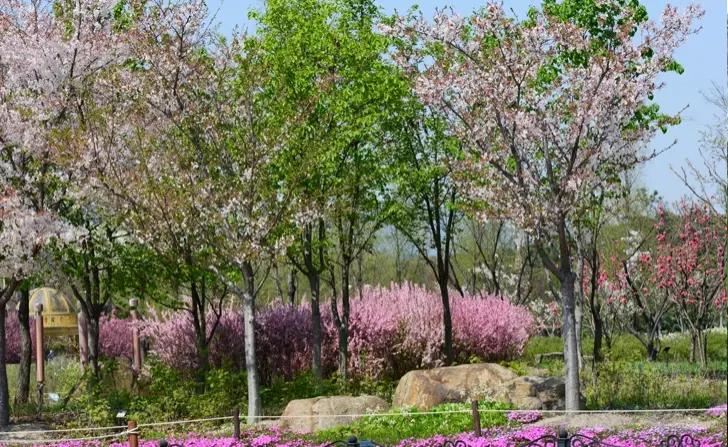 대전-한밭수목원-입장료-주차-요금-관람시간