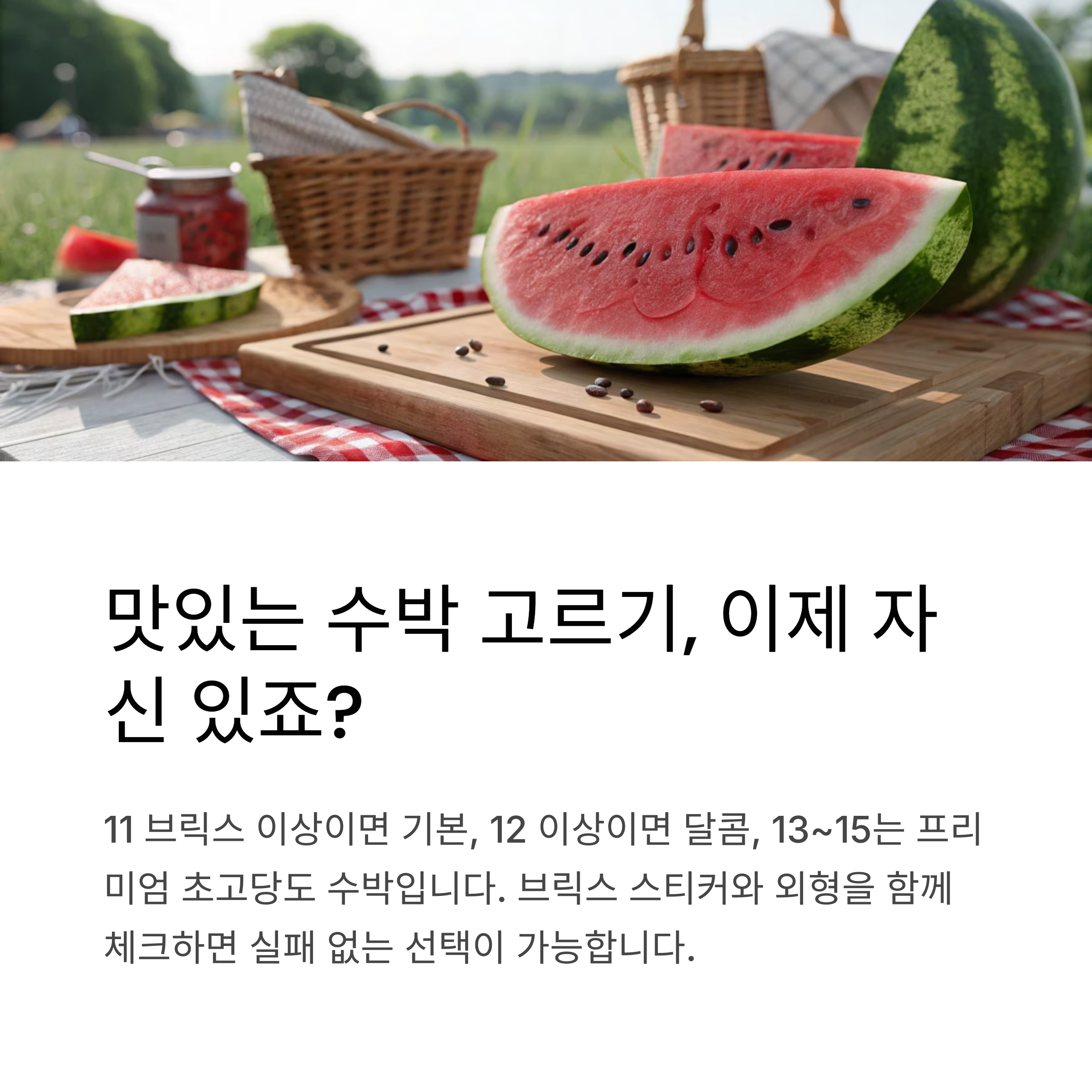 맛있는수박 고르기, 이제 자신 있죠?