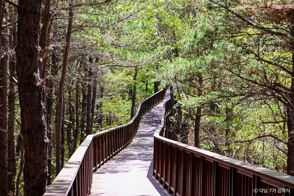 순천 여행코스 추천