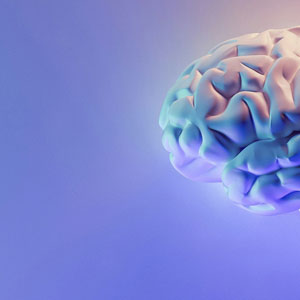 조현병이란 - 청소년기 후반, 성인 초기에 발병