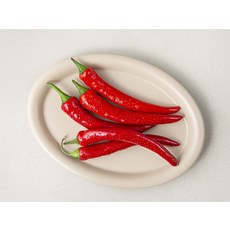 홍고추 효능 및 구매요령 보관법 손질법