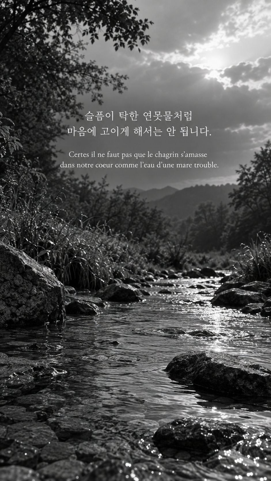 슬픔을 고이게 두지 않기: 슬픔이 탁한 연못물처럼 마음에 고이게 해서는 안 됩니다. 비가 갠 뒤 흐르는 얕은 개울, 흑백사진
