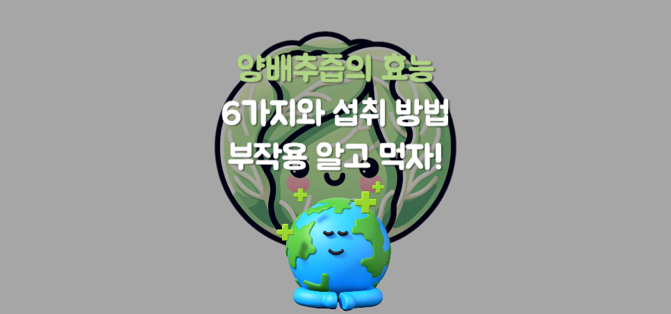 양배추즙의 효능 6가지와 섭취 방법 및 부작용 알고 먹자!