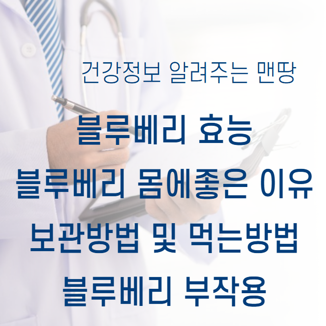 블루베리