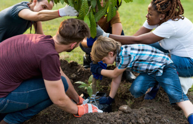 가족, 연인, 친구들이 함께 나무를 심는 모습