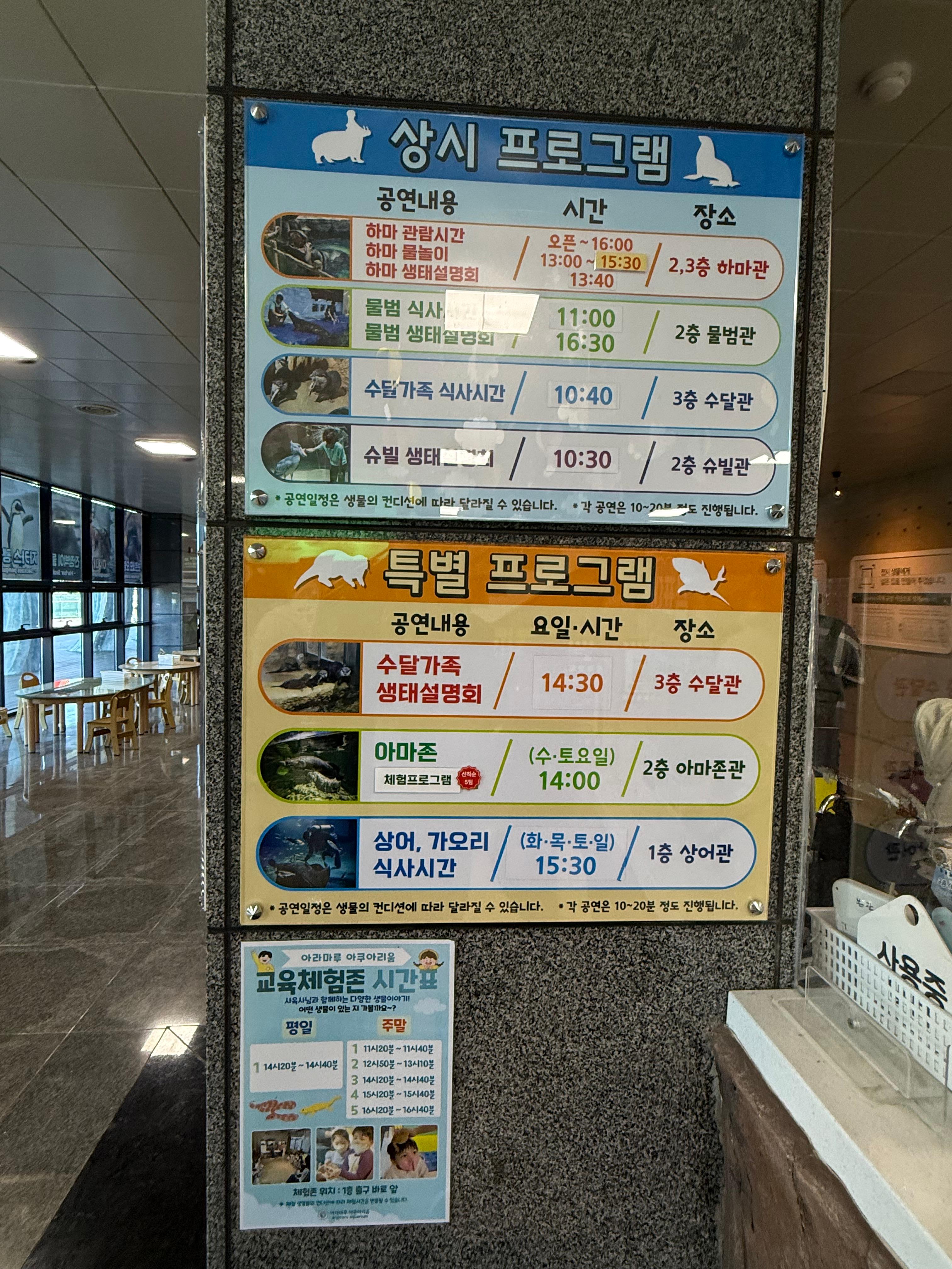 아라마루 아쿠아리움의 상시 및 특별 프로그램 시간표와 내용이 상세히 적힌 안내판. 하마, 수달, 상어 등 다양한 동물들의 관람 및 체험 일정이 표로 제시되어 있습니다.