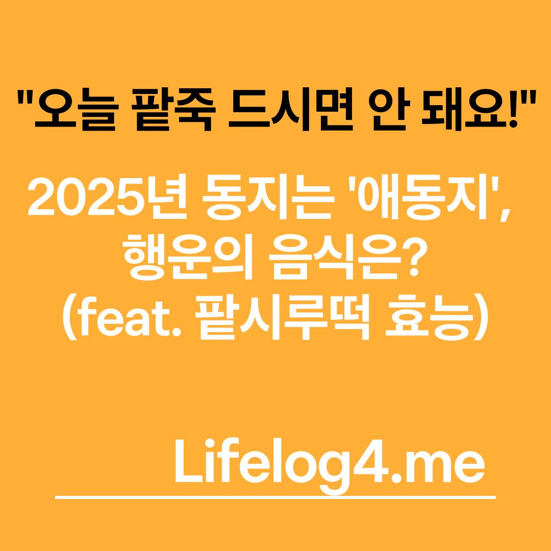 "오늘 팥죽 드시면 안 돼요!"2025년 동지는 '애동지', 행운의 음식은? (feat. 팥시루떡 효능)