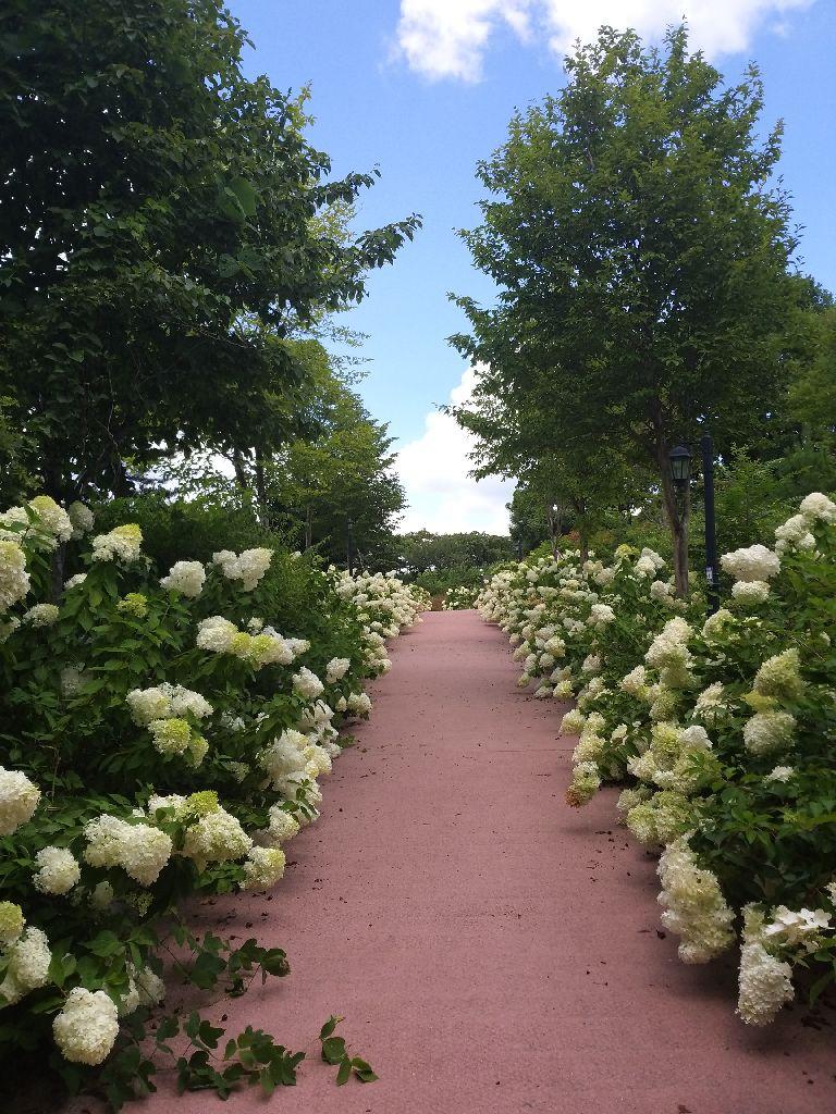 지리산 허브밸리