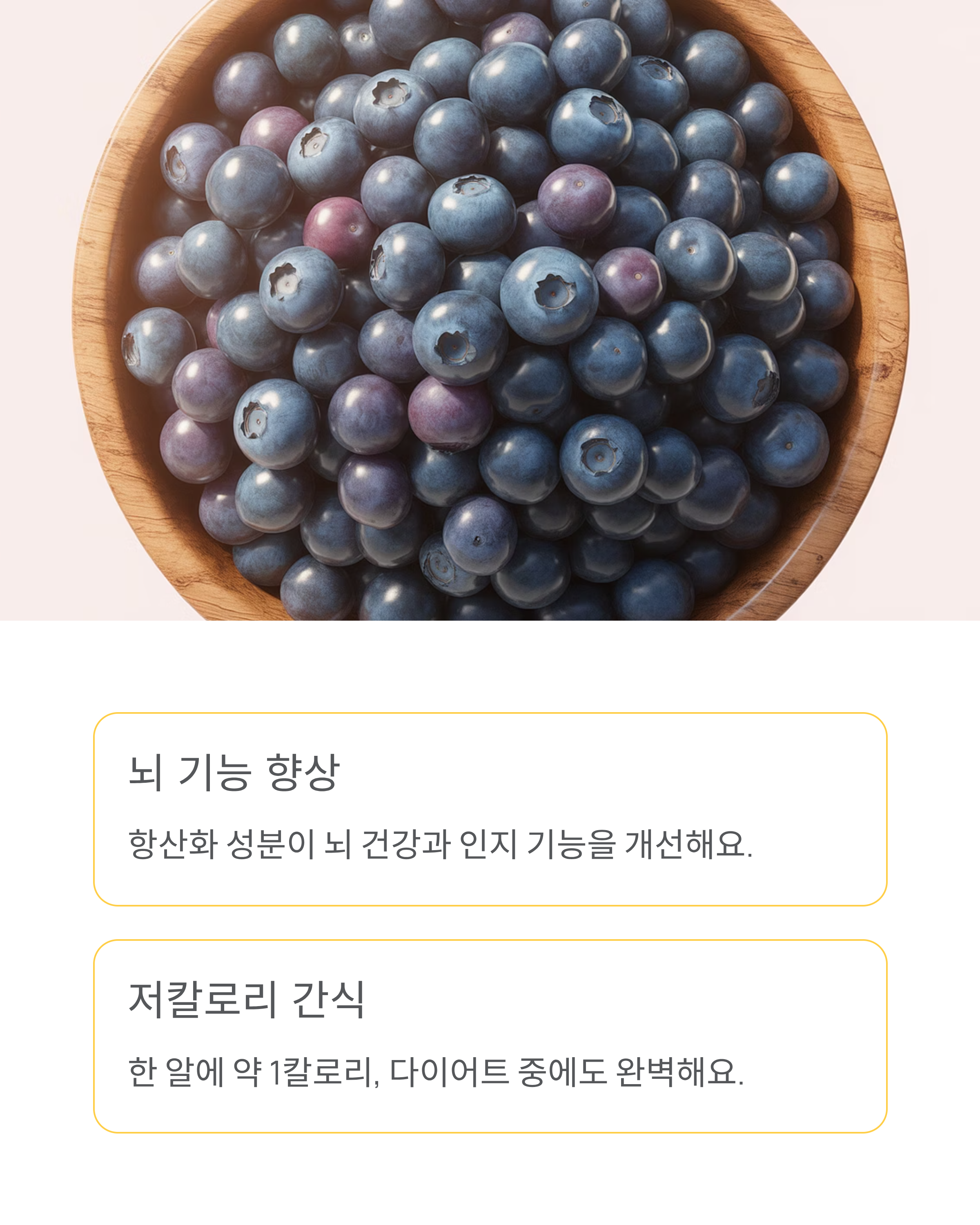 강아지 블루베리 급여 가능할까? 효능과 주의사항 총정리