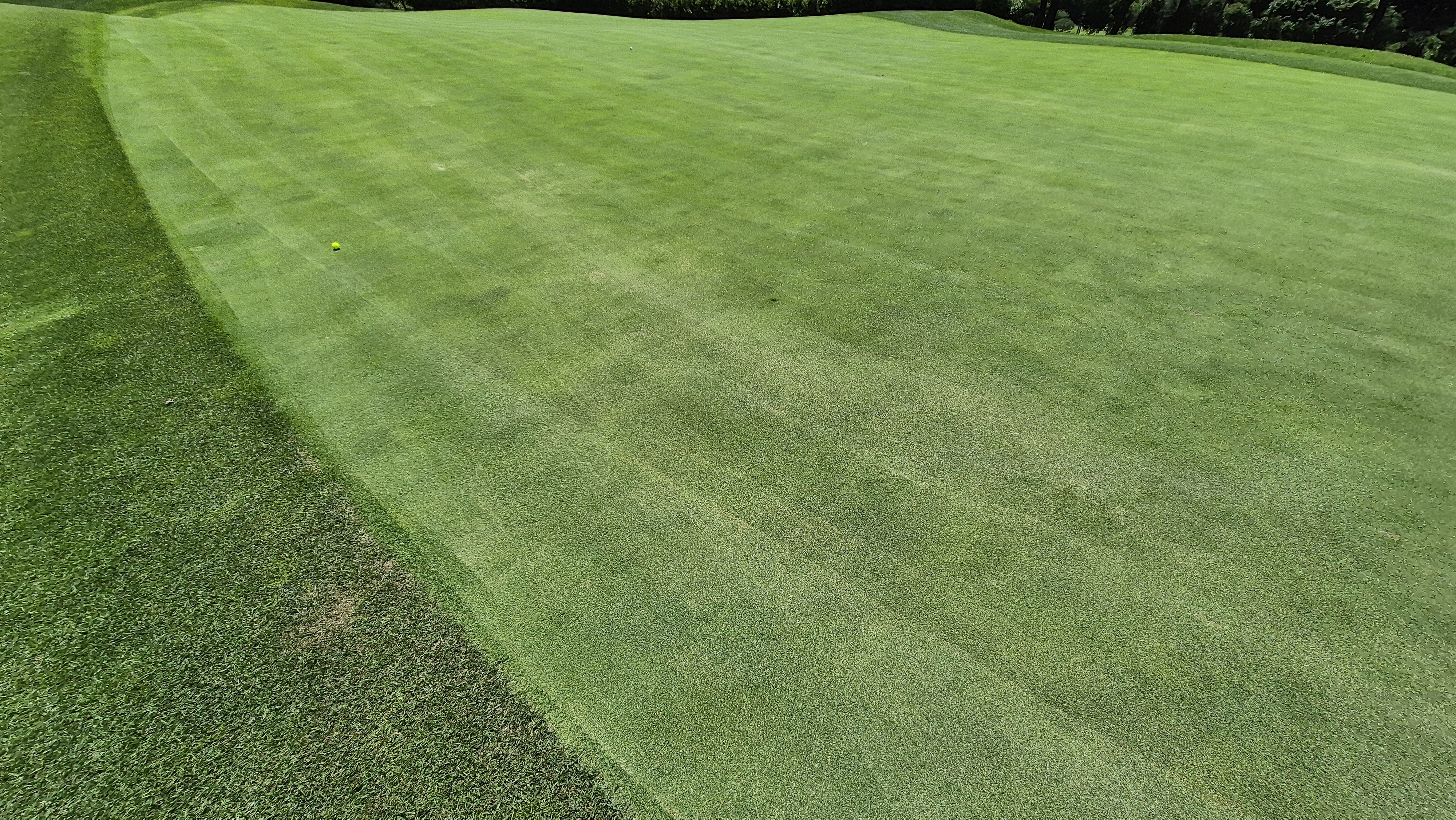 SG 아름다운cc 라운드 후기