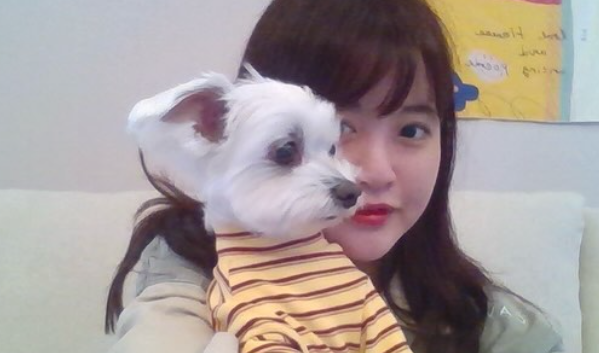 백세희
