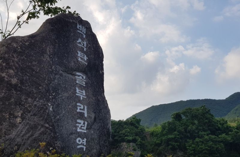 골부리권역