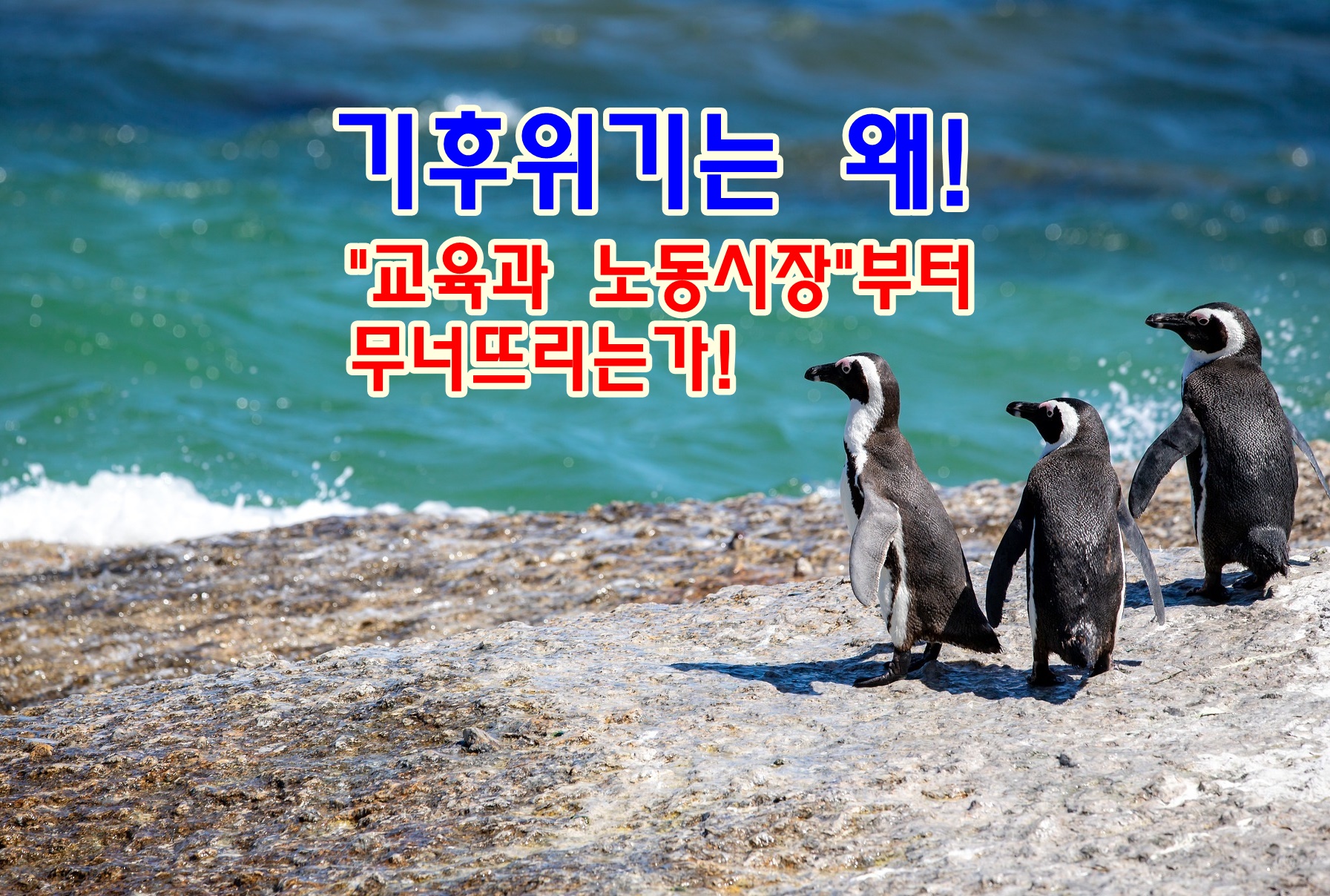 기후 위기는 왜 &lsquo;교육과 노동시장&rsquo;부터 무너뜨리는가?