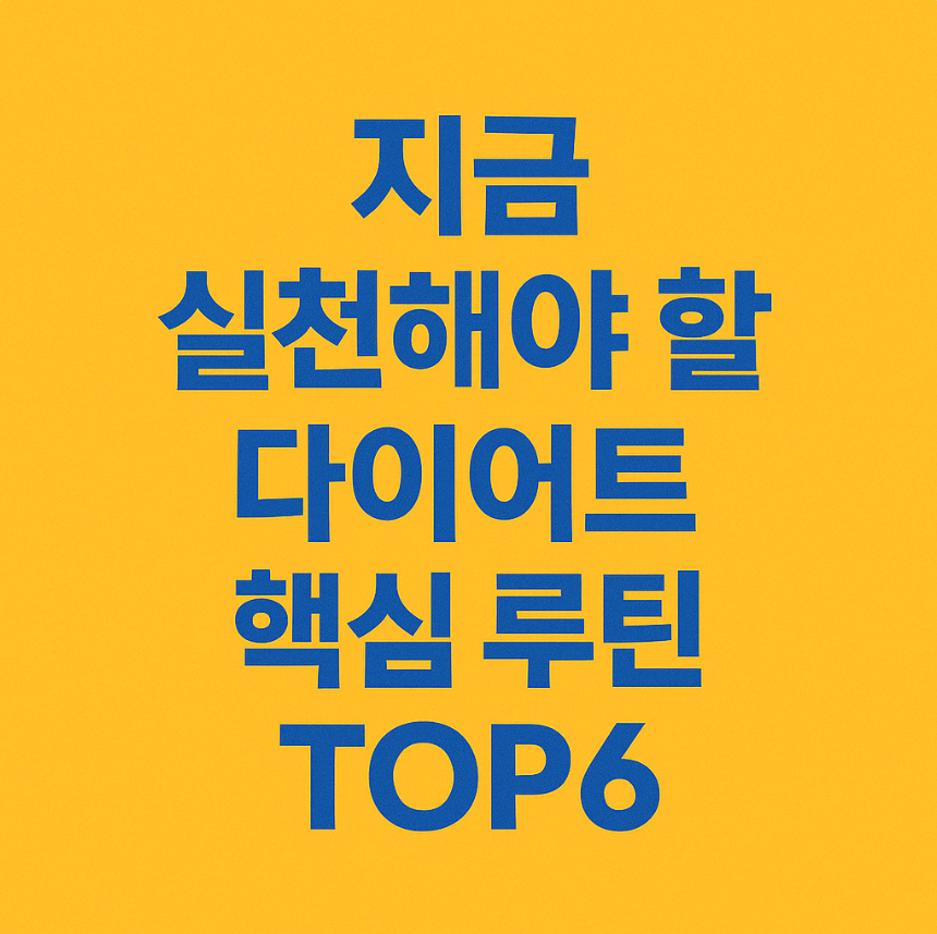 다이어트 핵심 루틴 TOP6