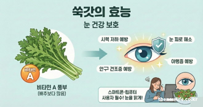 쑥갓의 효능 눈 건강 보호 (배추보다 풍부한 비타민 A로 시력 보호 및 안구 건조증 예방)