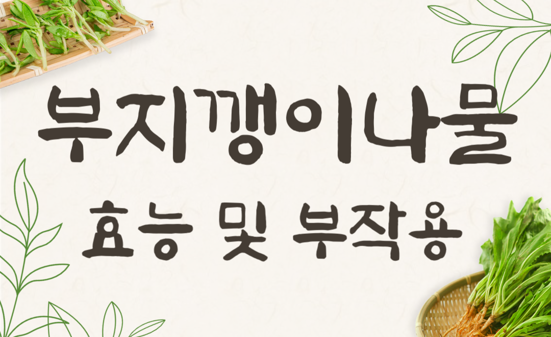 부지깽이나물 효능과 부작용, 울릉도 나물의 비밀