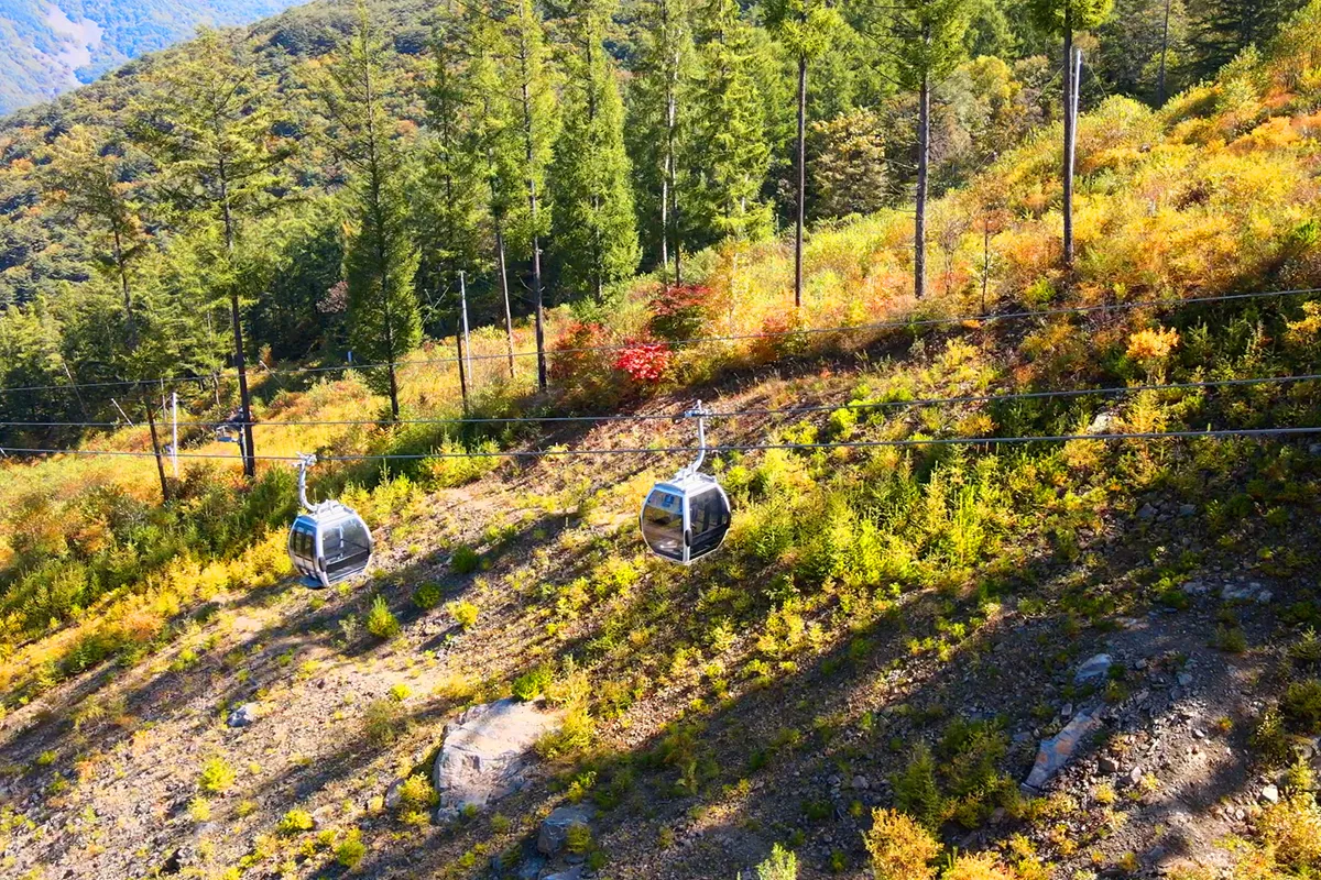 가리왕산 케이블카 예약 운영시간 주차장 할인_3