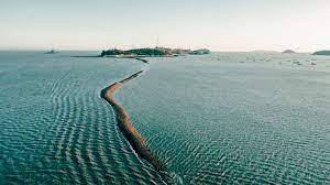 제 44회 진도 신비의 바닷길 축제 기본일정 및 프로그램 소개