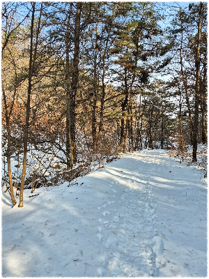 마국산