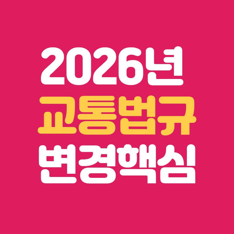 2026년 달라지는 교통법규 총정리｜운전자 과태료&middot;벌점 이렇게 바뀝니다