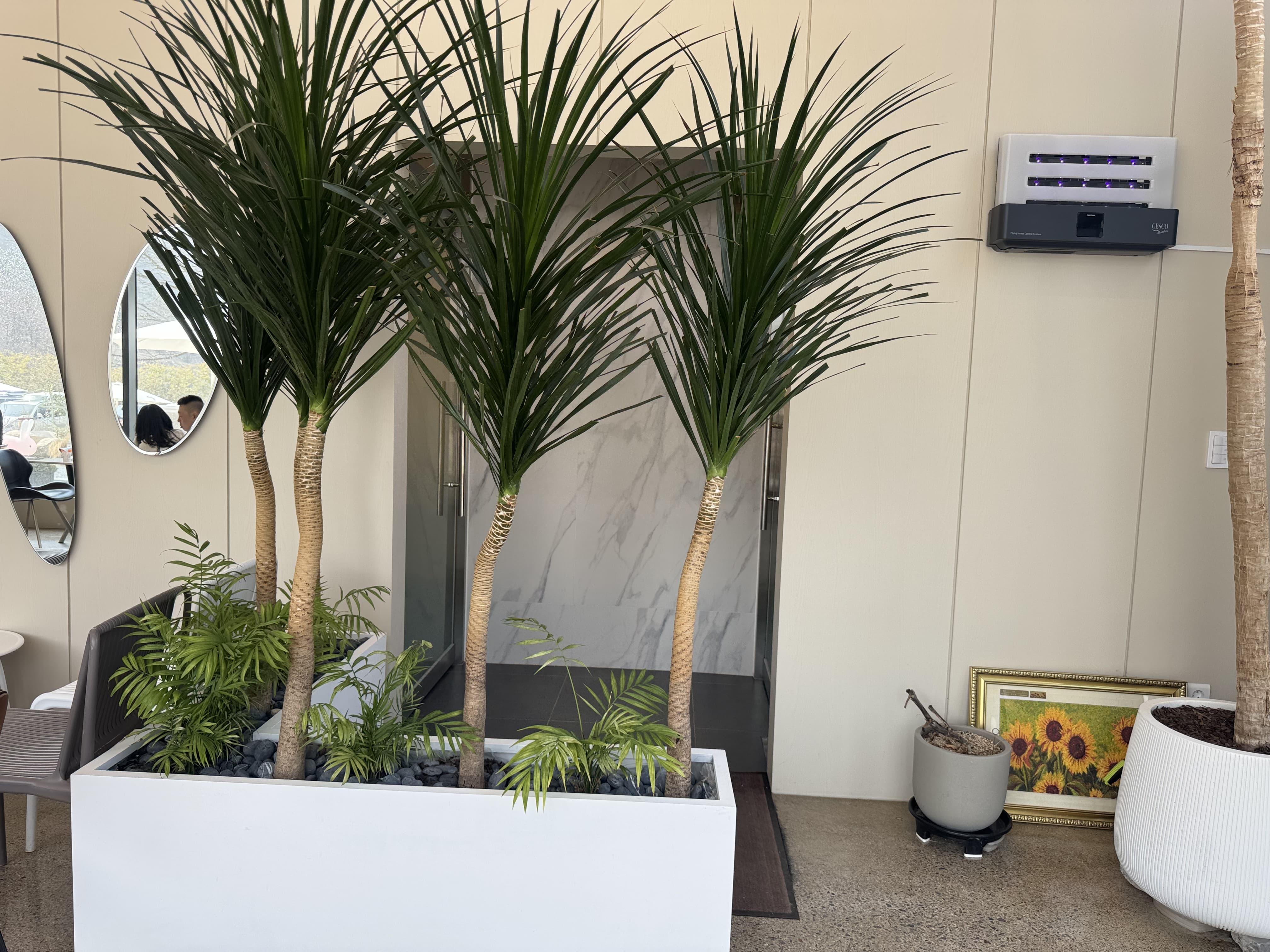 PINE 40 화장실 입구모습