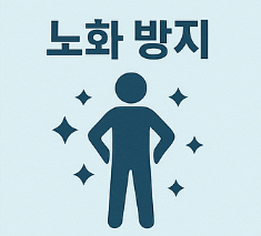 철갑상어 콘드로이친