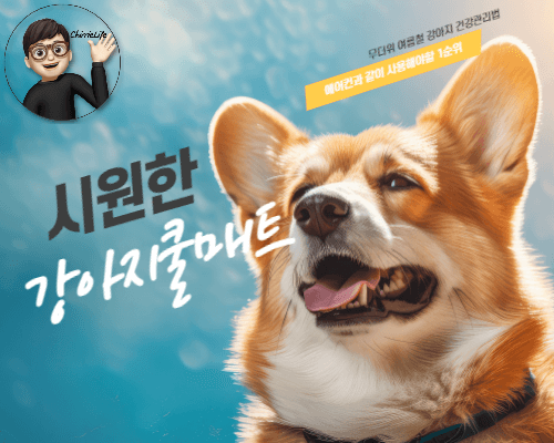 햇빛에 더워하는 강아지