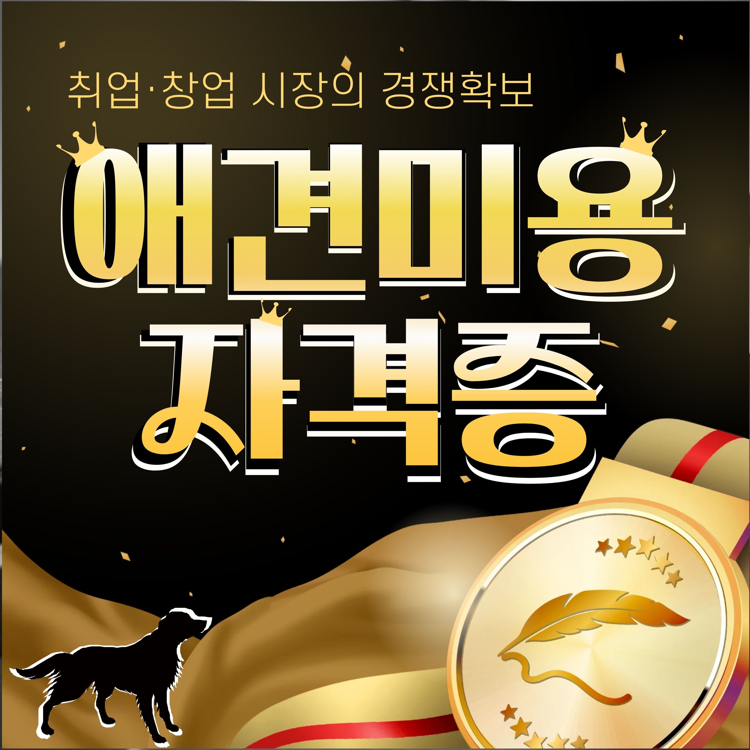 애견미용자격증학원