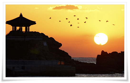 부산 송일정 일출