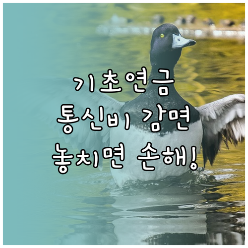 기초연금 수급자 필수 혜택, 통신요금..