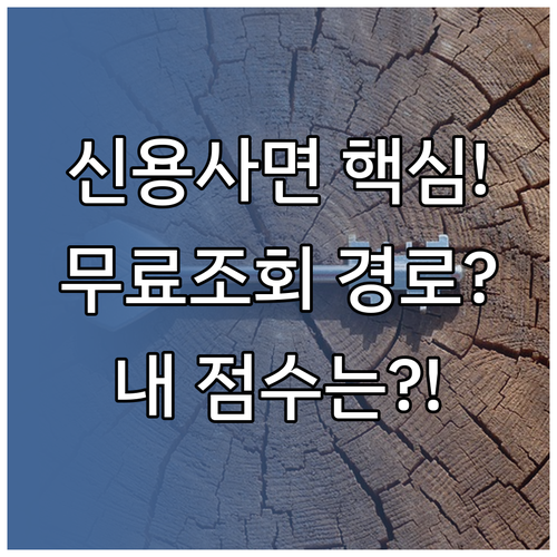 신용사면 대상자 KCB 올크레딧 무료..
