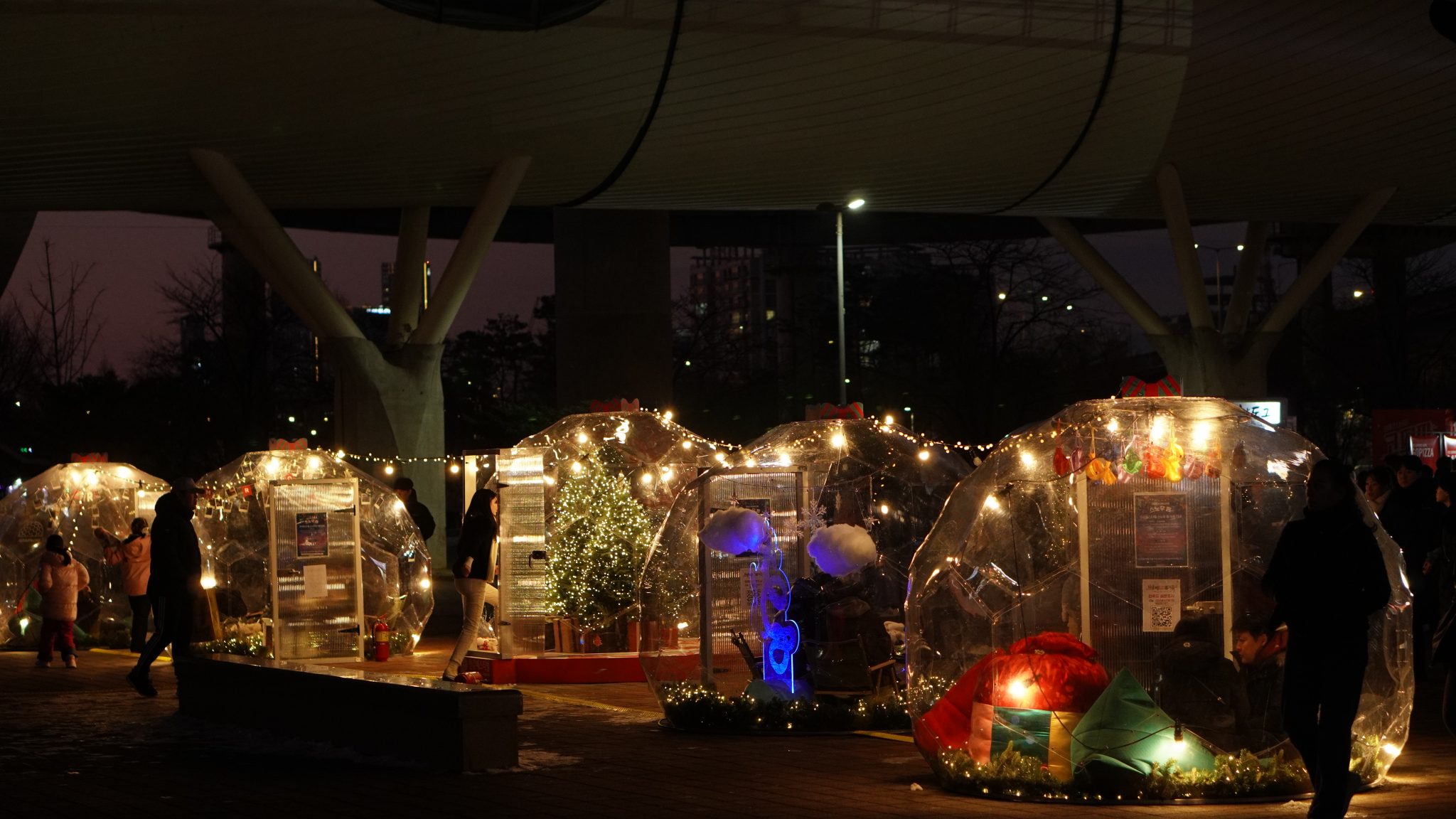 스노우돔 외관 풍경 이미지