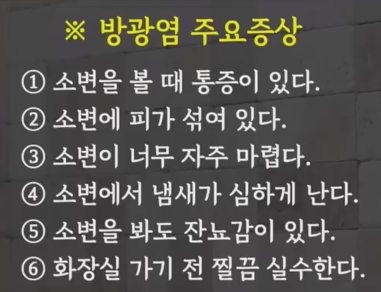 방광염 주요 증상